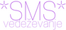 vedezevanje-sms.com